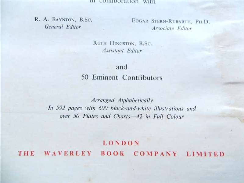 Encyclopedia of British Birds - Ludwig Koch - see water damage