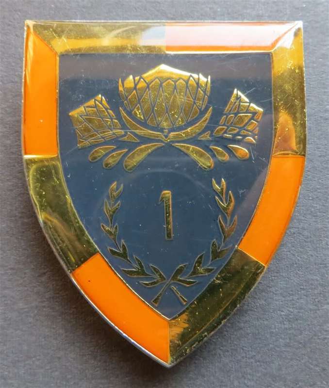 SA Army Special service Shoulder Flash