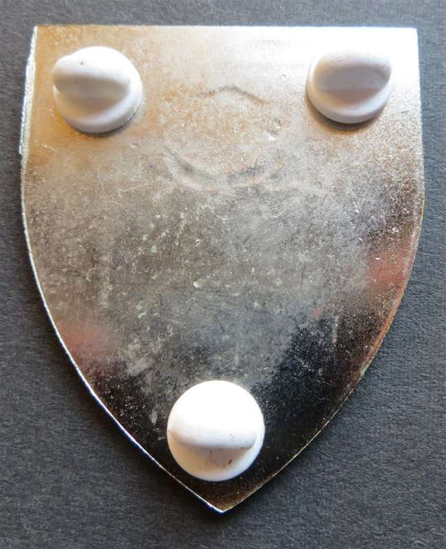 SA Army Special service Shoulder Flash