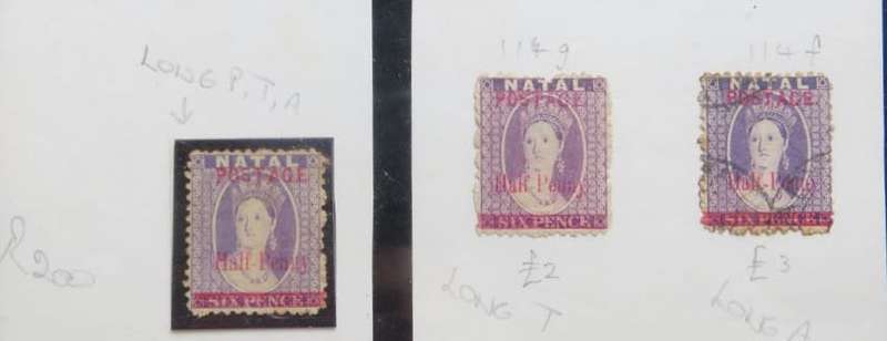 3 x Natal Half Penny Overprint Lot with Varieties