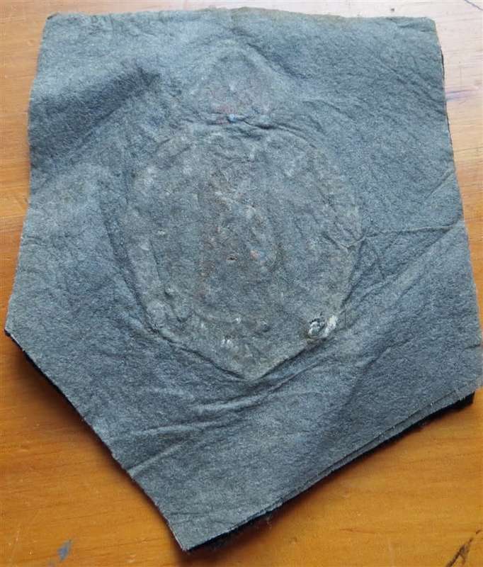 Vintage Wire Bullion SA Legion Blazer Pocket Embroidered Badge