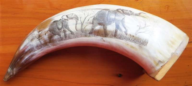 Hand Carved African Nguni Cow Horn - Elephants