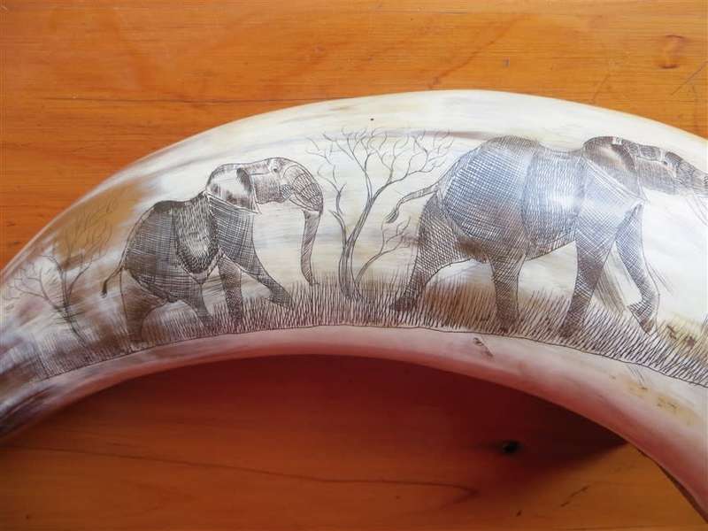 Hand Carved African Nguni Cow Horn - Elephants