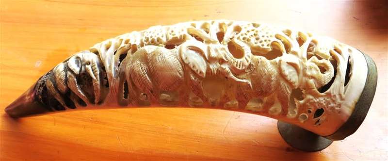 Hand Carved African Nguni Cow Horn - Elephants