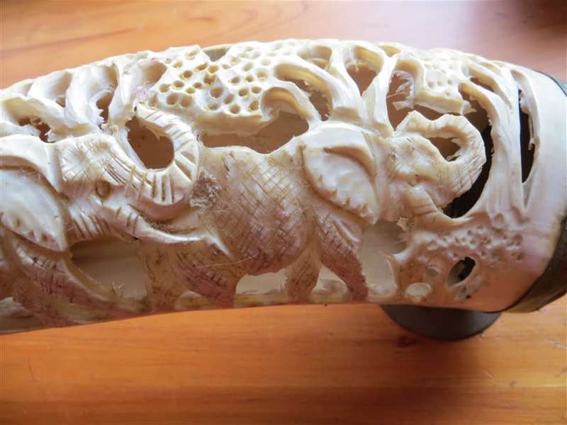 Hand Carved African Nguni Cow Horn - Elephants