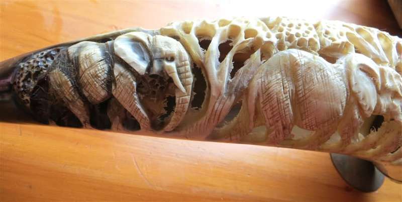 Hand Carved African Nguni Cow Horn - Elephants