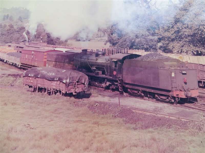 SAR/SAS Original Steam train photo 250mmx190mm - D.S Gibbs 1971 - Foxing present