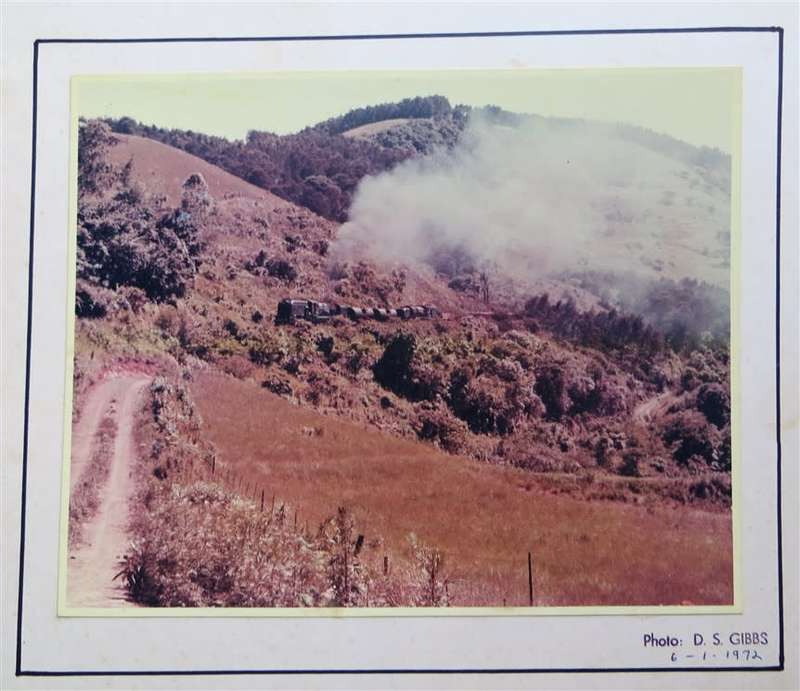SAR/SAS Original Steam train photo 250mmx190mm - D.S Gibbs 1972 - Foxing present