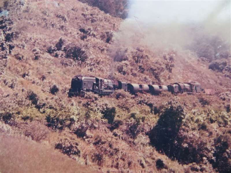 SAR/SAS Original Steam train photo 250mmx190mm - D.S Gibbs 1972 - Foxing present