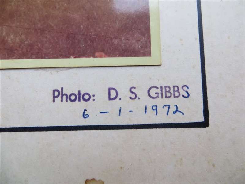 SAR/SAS Original Steam train photo 250mmx190mm - D.S Gibbs 1972 - Foxing present