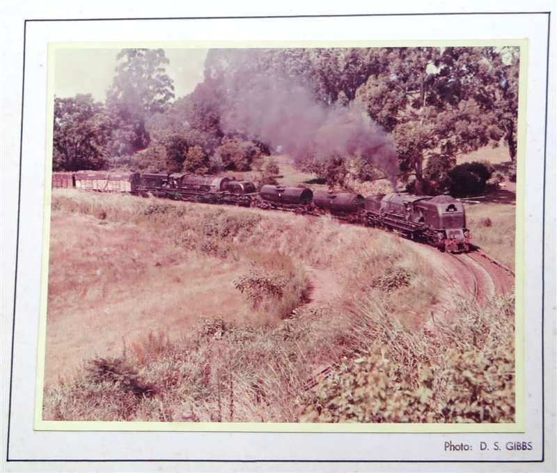 SAR/SAS Original Steam train photo 250mmx190mm - D.S Gibbs 1972 - Foxing present