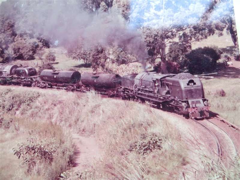 SAR/SAS Original Steam train photo 250mmx190mm - D.S Gibbs 1972 - Foxing present