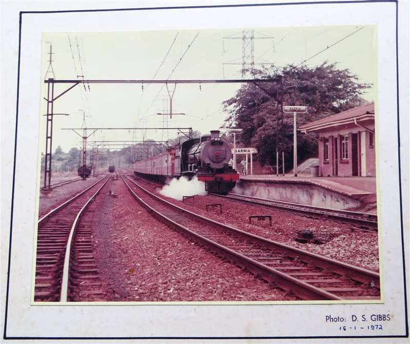 SAR/SAS Original Steam train photo 250mmx190mm - D.S Gibbs 1972 - Foxing present