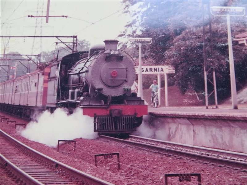SAR/SAS Original Steam train photo 250mmx190mm - D.S Gibbs 1972 - Foxing present