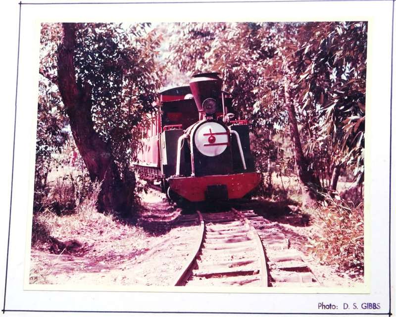 SAR/SAS Original Steam train photo 250mmx190mm - D.S Gibbs 1971 - Foxing present