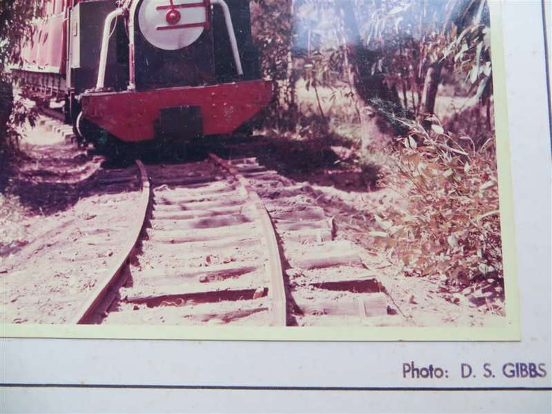 SAR/SAS Original Steam train photo 250mmx190mm - D.S Gibbs 1971 - Foxing present