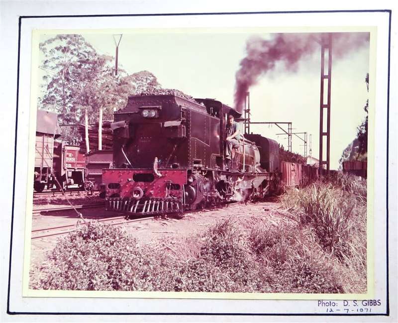 SAR/SAS Original Steam train photo 250mmx190mm - D.S Gibbs 1971 - Foxing present