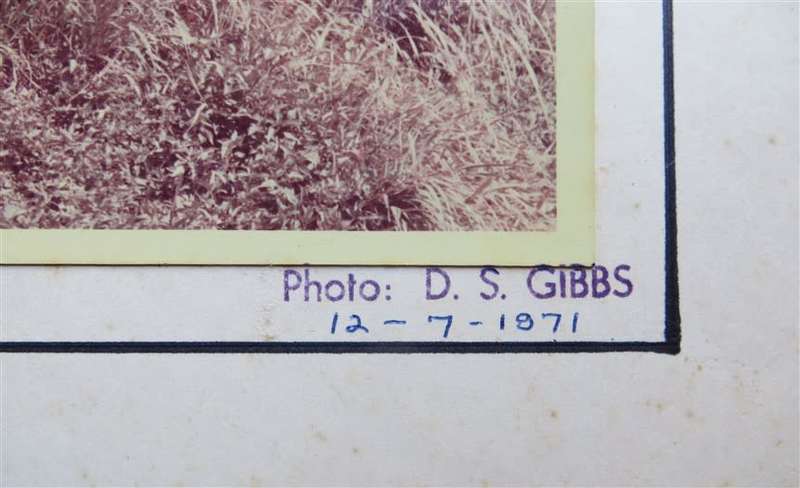 SAR/SAS Original Steam train photo 250mmx190mm - D.S Gibbs 1971 - Foxing present
