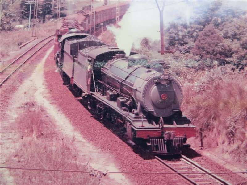 SAR/SAS Original Steam train photo 250mmx190mm - D.S Gibbs 1972 - Foxing present