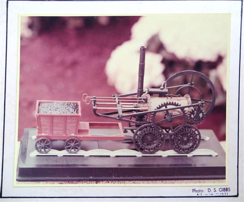 SAR/SAS Original Steam train photo 250mmx190mm - D.S Gibbs 1971 - Foxing present