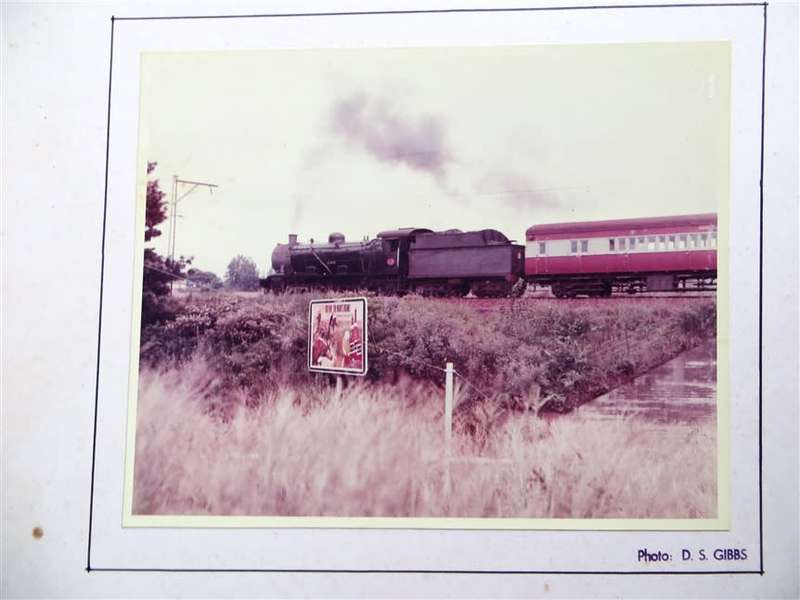 SAR/SAS Original Steam train photo 250mmx190mm - D.S Gibbs 1972 - Foxing present