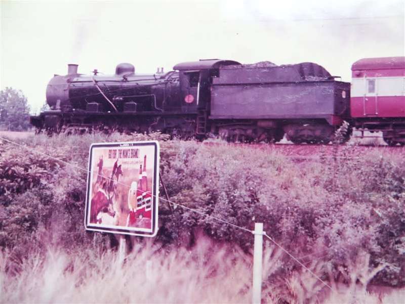 SAR/SAS Original Steam train photo 250mmx190mm - D.S Gibbs 1972 - Foxing present