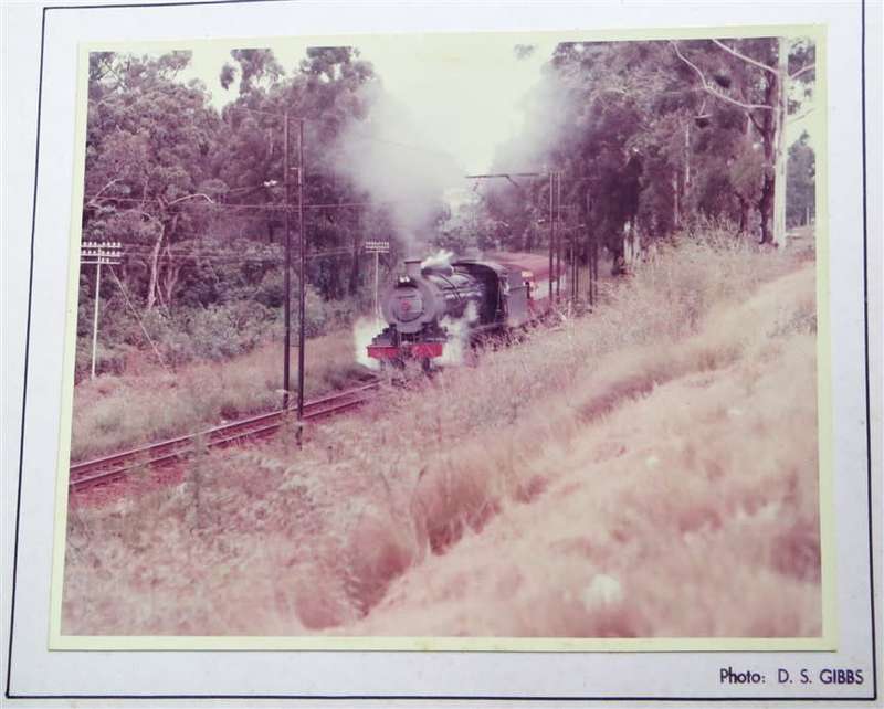 SAR/SAS Original Steam train photo 250mmx190mm - D.S Gibbs 1972 - Foxing present