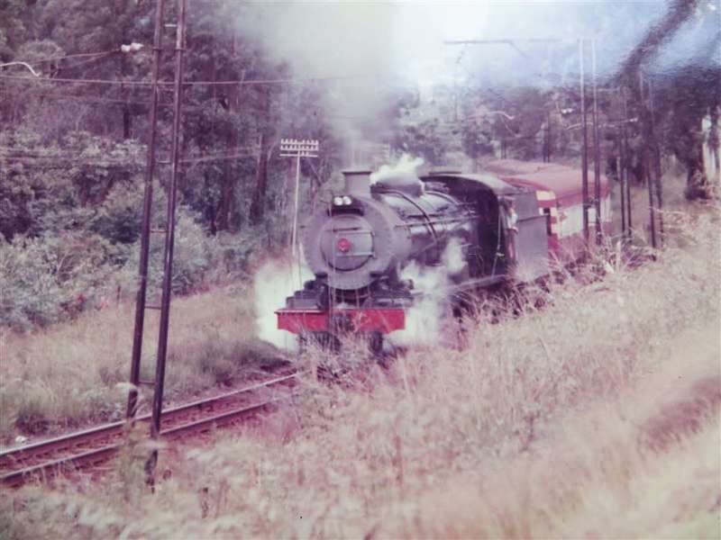 SAR/SAS Original Steam train photo 250mmx190mm - D.S Gibbs 1972 - Foxing present