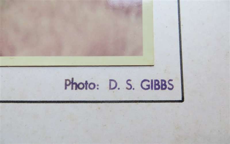 SAR/SAS Original Steam train photo 250mmx190mm - D.S Gibbs 1972 - Foxing present
