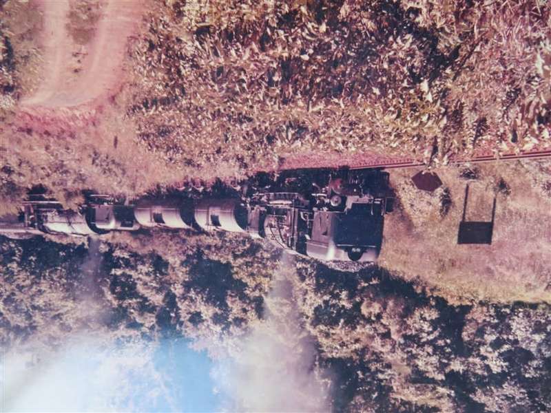 SAR/SAS Original Steam train photo 250mmx190mm - D.S Gibbs 1972 - Foxing present