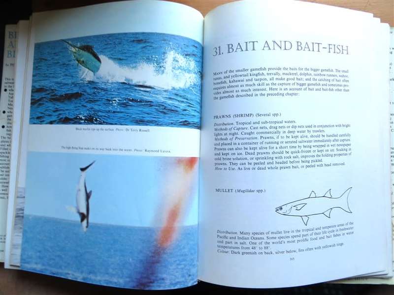Big Fish & Blue water - Peter Goadby