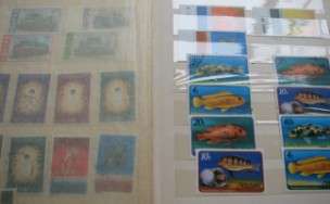 ALBUM - CRAZY R1 START !!!!!! - MALAWI MINT & USED,NETHERLANDS,unhinged.