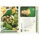 1995 RWC JAMES DALTON TRADING CARD [Original autograph]