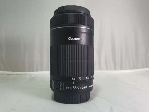 Canon EF-S 55-250mm IS STM