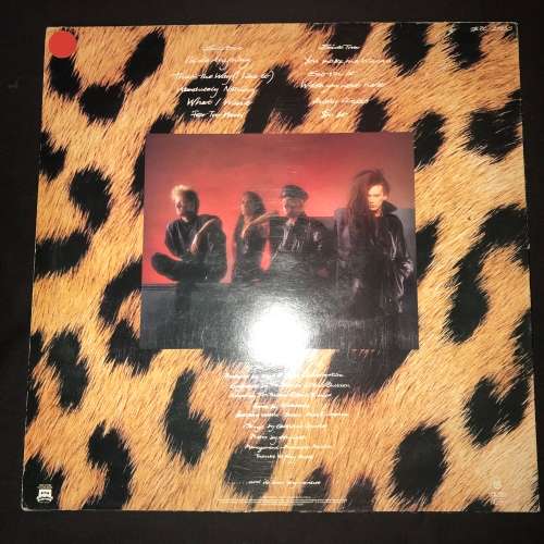 Dead Or Alive (DOA) - Sophisticated Boom Boom (LP) Vinyl Record (1st Album)