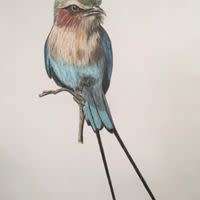 Original painting