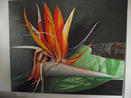 Strelitzia