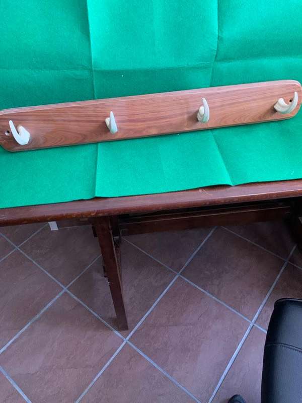 Wall Mounted Ivory Warthog Tooth Coat Rack
