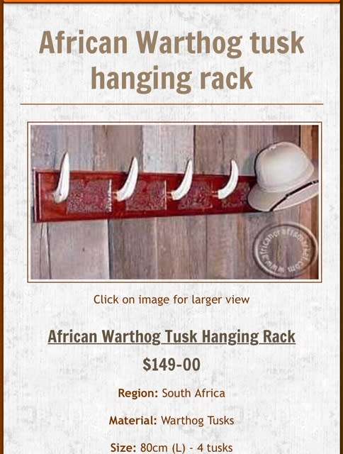 Wall Mounted Ivory Warthog Tooth Coat Rack
