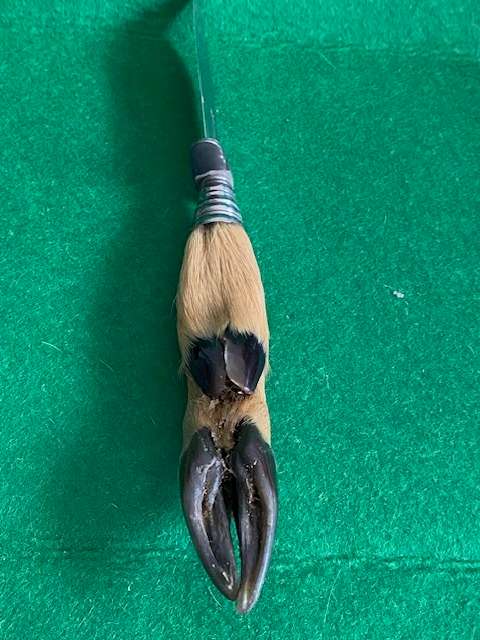 Rostfrei Solingen DSE Knife
