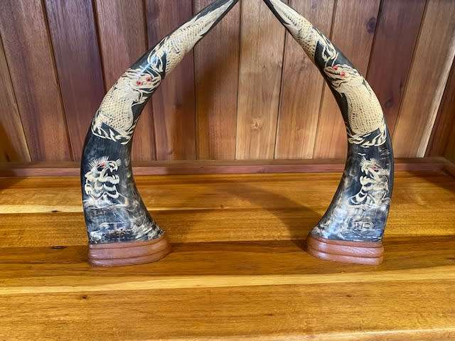 CRAFTED MALYSIAN BUFFALO HORNS