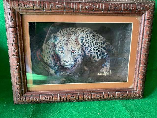 LEOPARD ROCK ART BY ARTIST S CAULFIELD ORIGINAL