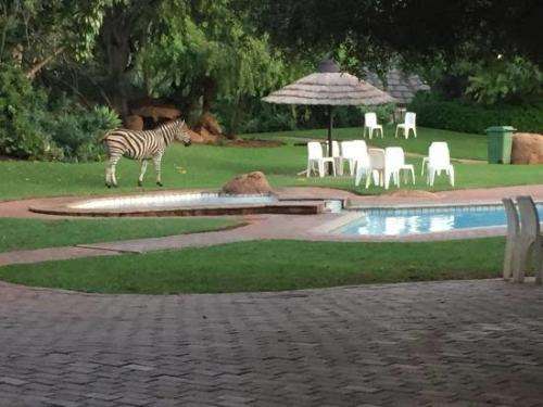 Dikhololo - 7 nights 18 to 25 October 2019 for 4 people