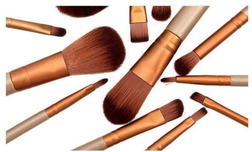12 Piece Metallic Makeup Brush Set