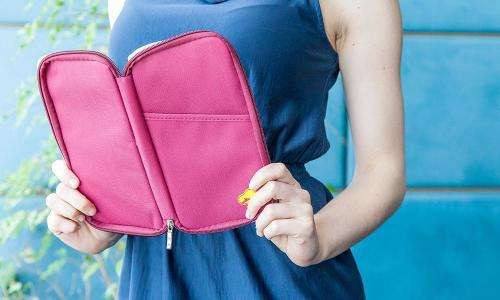 Passport and Document Travel Organiser In Six Colours