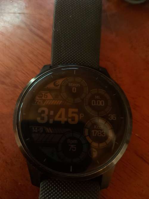 Garmin Vivoactive 4 Smartwatch