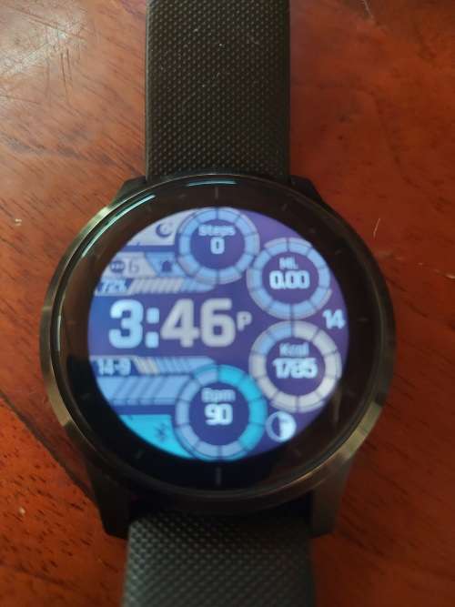 Garmin Vivoactive 4 Smartwatch