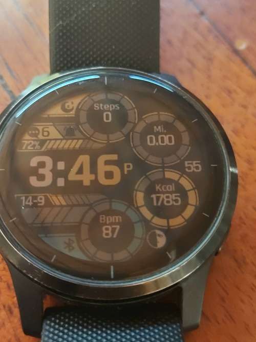 Garmin Vivoactive 4 Smartwatch