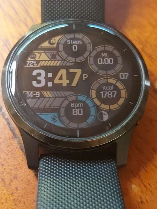 Garmin Vivoactive 4 Smartwatch