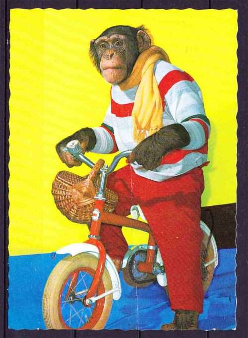 Yugoslavia - Post Card - Monkey on a Bicycle